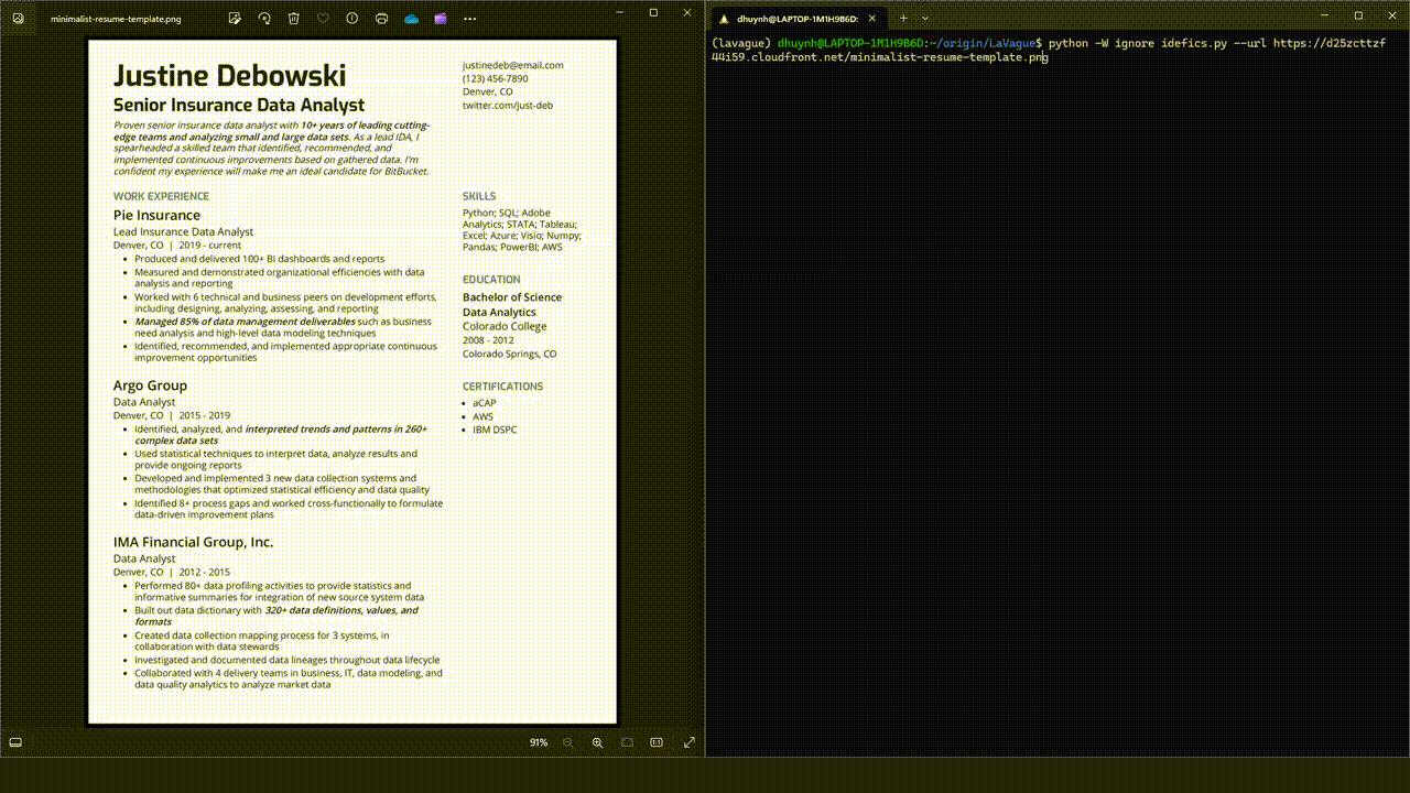 "idefics demo"